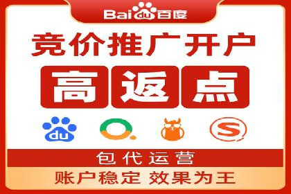 百度SEM推广案例解析：成功秘诀大公开